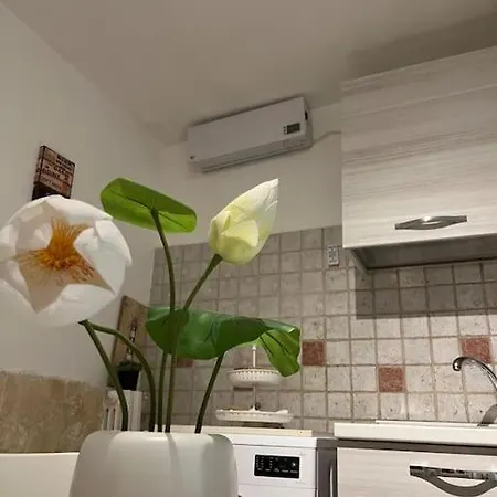 “da Concetta” アパート バーリ